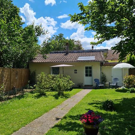 Les Cedres Bleus Bed & Breakfast Saint-Medard-de-Mussidan Exterior photo