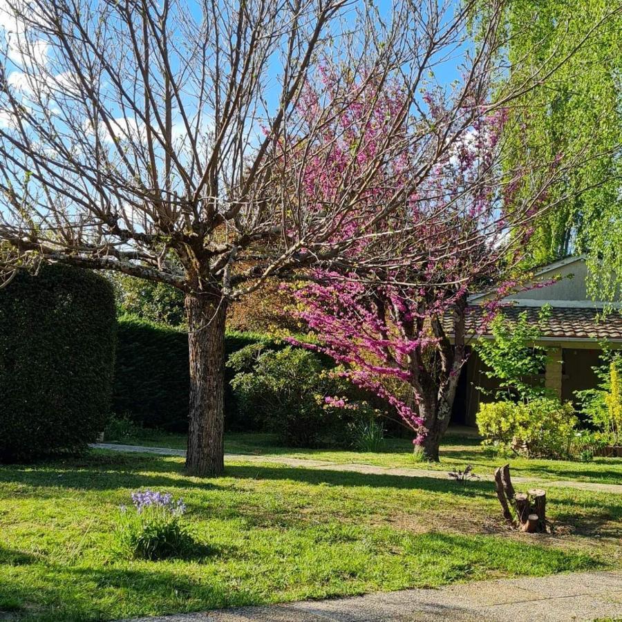 Les Cedres Bleus Bed & Breakfast Saint-Medard-de-Mussidan Exterior photo