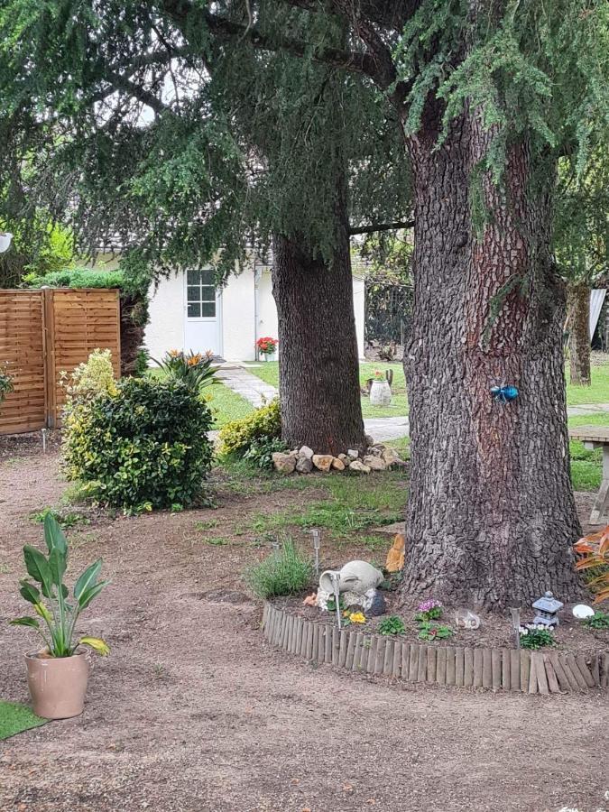 Les Cedres Bleus Bed & Breakfast Saint-Medard-de-Mussidan Exterior photo